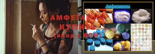 дмт Алексин
