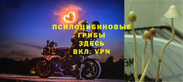 соль ск Алзамай