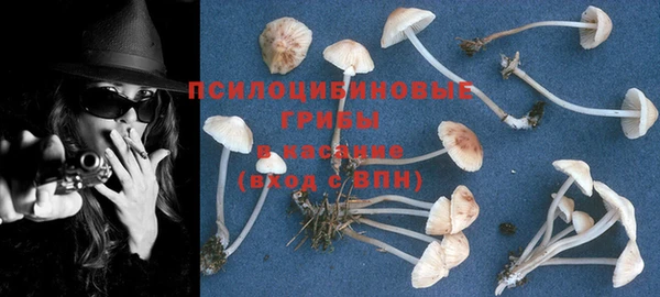 наркотики Абинск